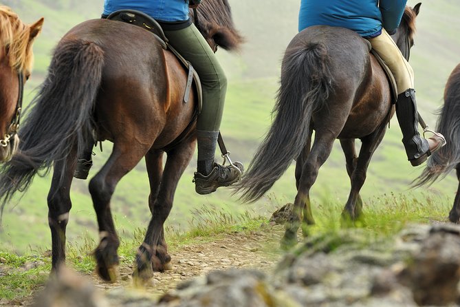 Golden Circle & Viking Horse Experience - Why combine the Golden Circle with horseback riding?