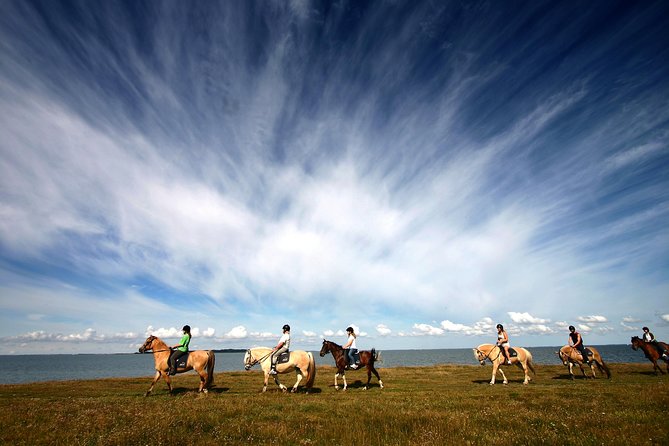 Golden Circle & Viking Horse Experience - How the guide and audio system affect your day