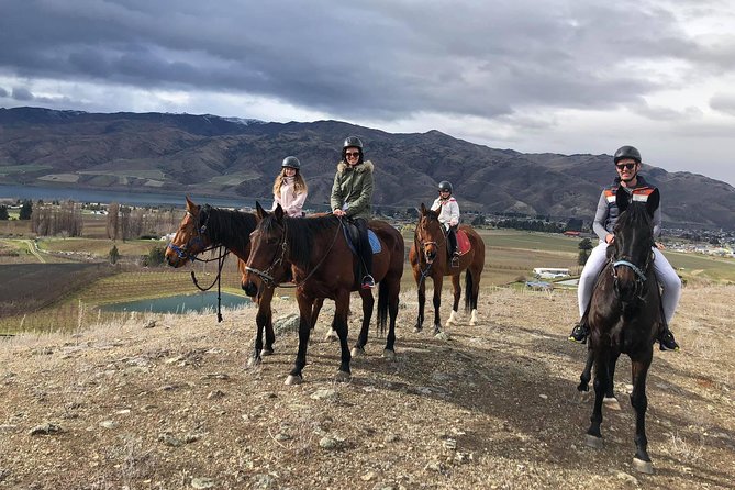 Golden Hills Horse Trek in Central Otago - Key Points Before You Book