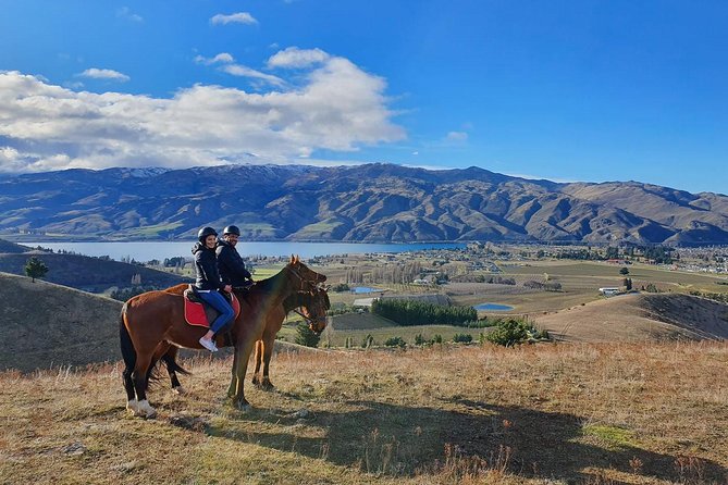 Golden Hills Horse Trek in Central Otago - Price, Timing, and What You Receive