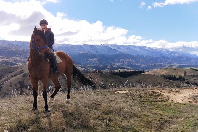 Golden Hills Horse Trek in Central Otago - Climbing Toward Lake Dunstan and Mt Pisa