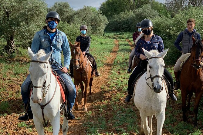 Granada & Sierra Nevada Horse Riding Tour - Meeting the family and choosing your horse