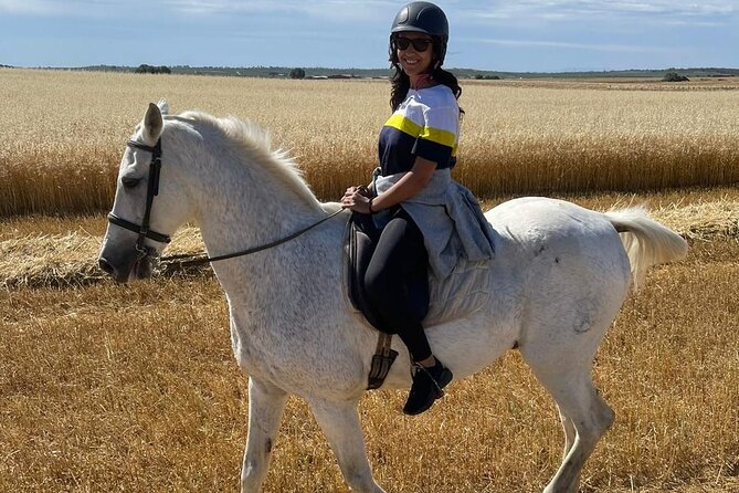 Granada & Sierra Nevada Horse Riding Tour - What the horse care tells you about the experience