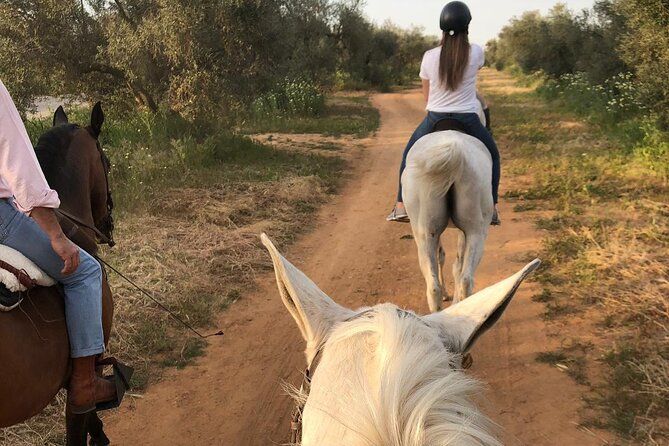 Granada & Sierra Nevada Horse Riding Tour - Who will enjoy this ride most?