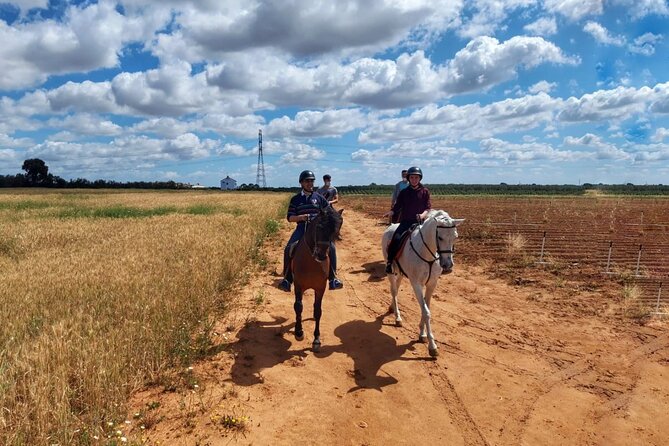 Granada & Sierra Nevada Horse Riding Tour - Practical timing, group size, and cancellations