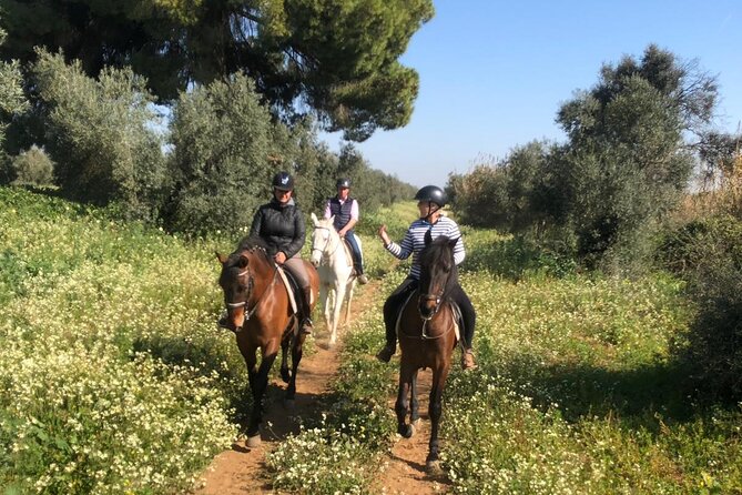 Granada & Sierra Nevada Horse Riding Tour - Should you book the Granada horse ride?