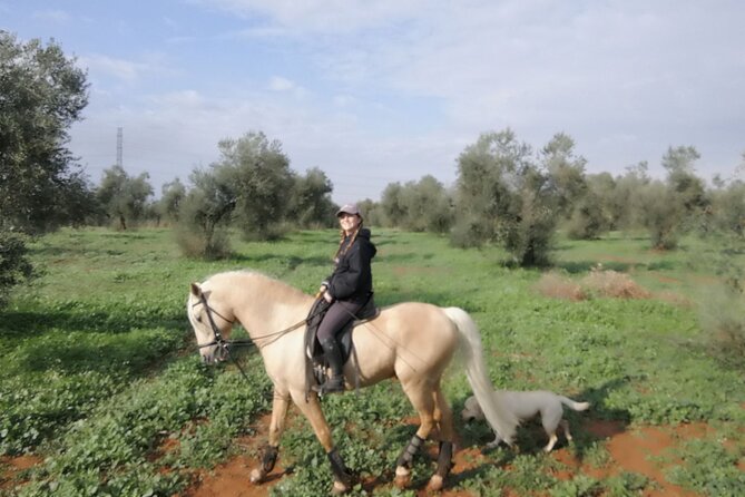 Granada & Sierra Nevada Horse Riding Tour - Is $150.51 a fair price?