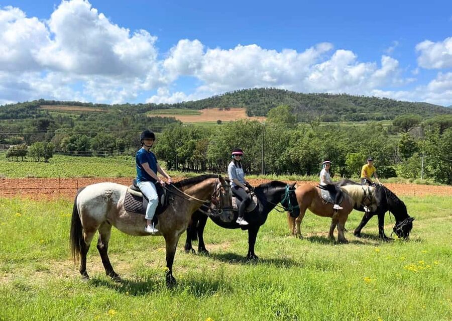 Grimaud: Horseback Riding & Wine Tasting in Maures Forest - One hour through the Maures Forest and vineyards