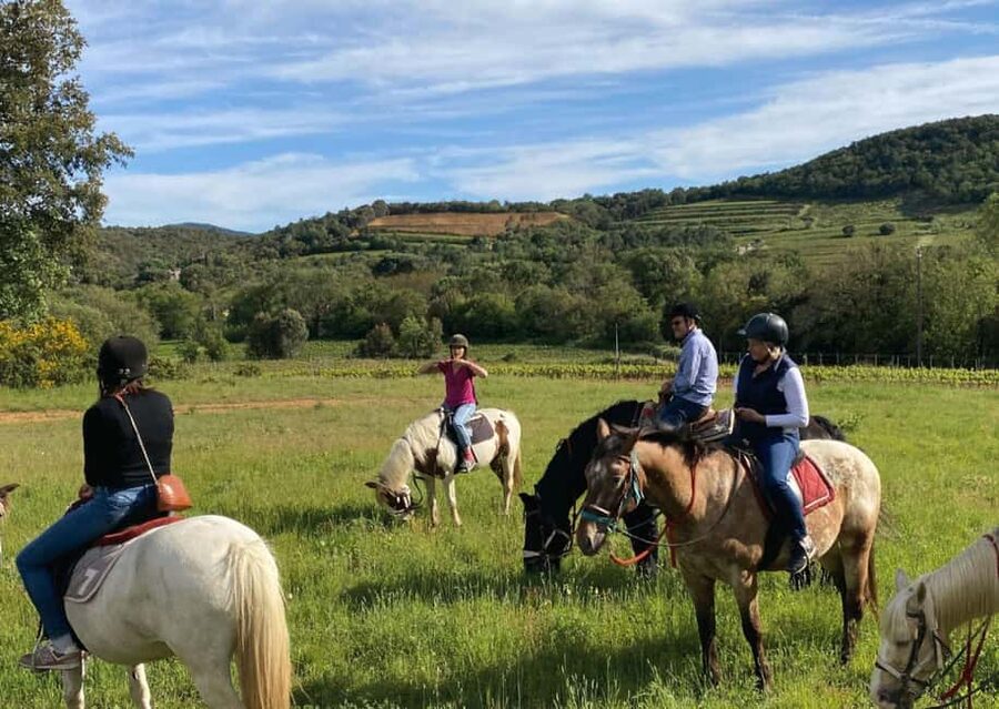 Grimaud: Horseback Riding & Wine Tasting in Maures Forest - Learning about local wine without a full winery tour