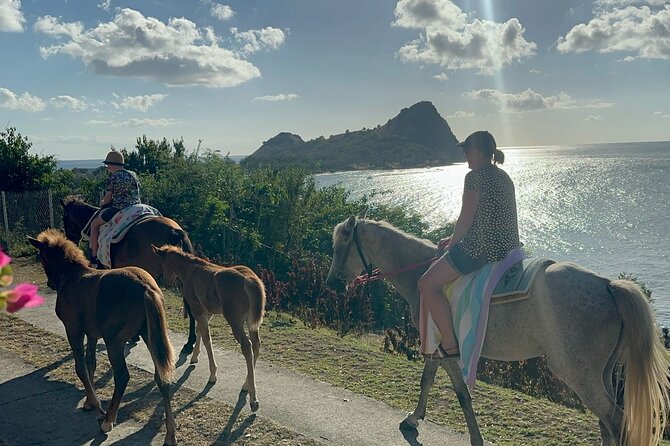 Gros Islet Village Horseback Riding run with Dore's riding Stable - From Cap Estate villas to the St. Lucian coast