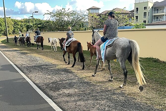 Gros Islet Village Horseback Riding run with Dore's riding Stable - Seeing Gros Islet beyond the beach