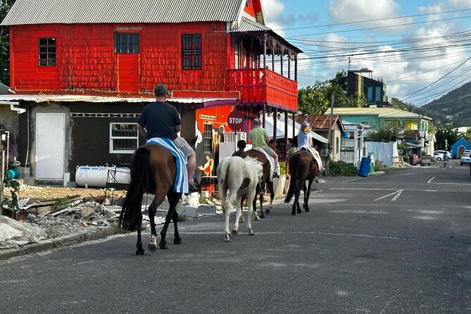 Gros Islet Village Horseback Riding run with Dore's riding Stable - A Piton beer stop in Gros Islet