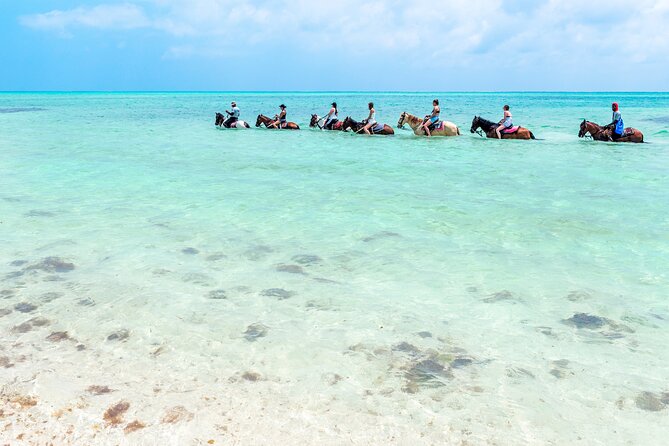 Group Beach and Ocean Horseback Adventure in Providenciales - Riding straight from Providenciales beach into the sea