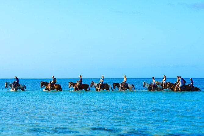 Group Beach and Ocean Horseback Adventure in Providenciales - The beach ride gives you time to settle in