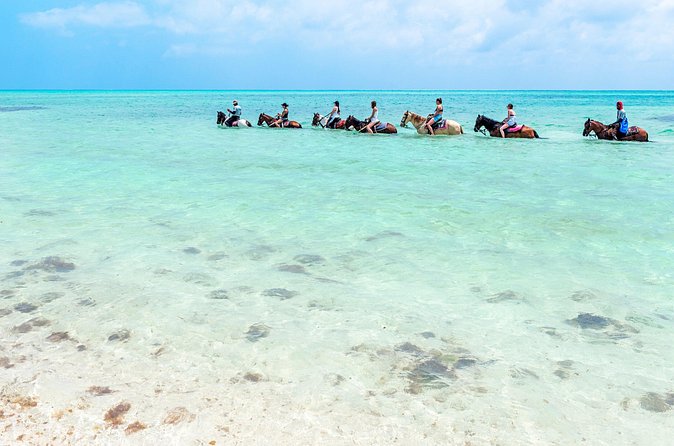 Group Beach and Ocean Horseback Adventure in Providenciales - Wading into clear Providenciales water
