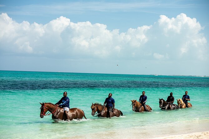 Group Beach and Ocean Horseback Adventure in Providenciales - What the guides add to the hour