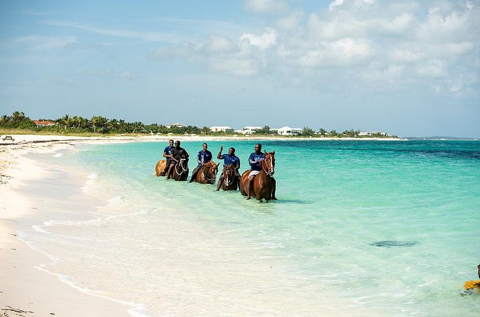 Group Beach and Ocean Horseback Adventure in Providenciales - Why the $254 price may or may not work for you