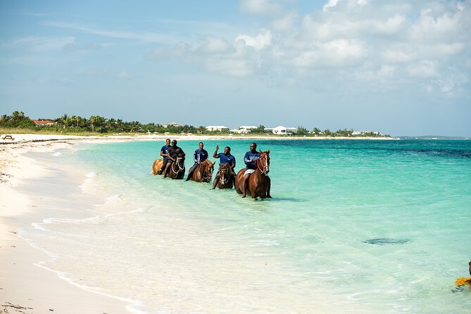 Group Beach and Ocean Horseback Adventure in Providenciales - Who will enjoy this most