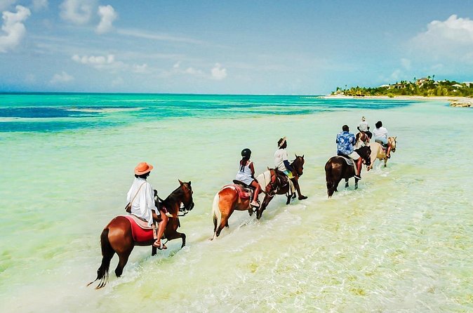 Group Beach and Ocean Horseback Adventure in Providenciales - Practical packing advice for a beach-and-ocean ride
