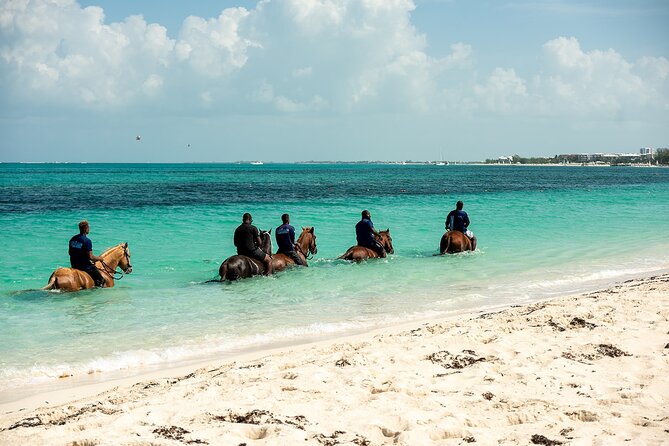 Group Beach and Ocean Horseback Adventure in Providenciales - Meeting the horses and getting ready