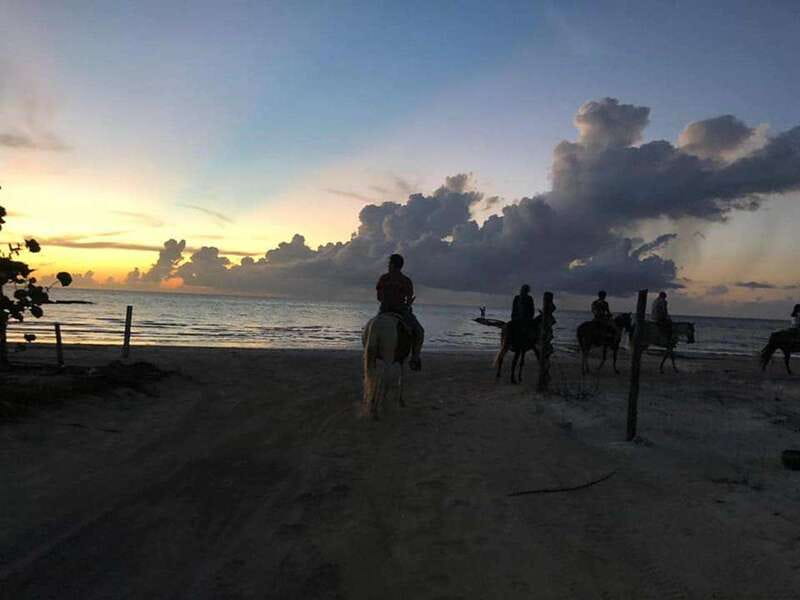 Group horseback ride on Holbox Island, Quintana Roo - What the 80-minute Holbox ride is really like