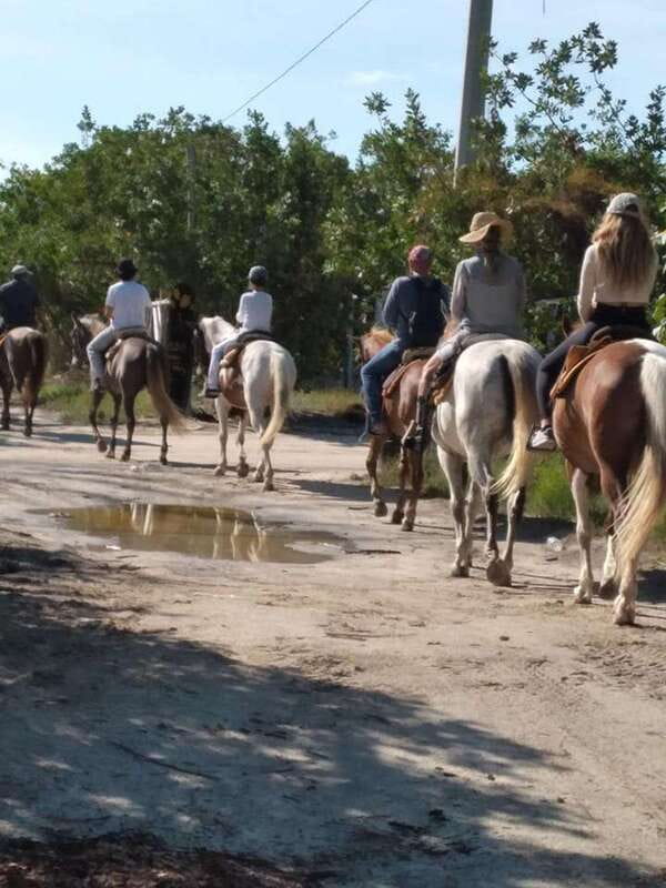 Group horseback ride on Holbox Island, Quintana Roo - Starting among the mangroves at Punta Siricote