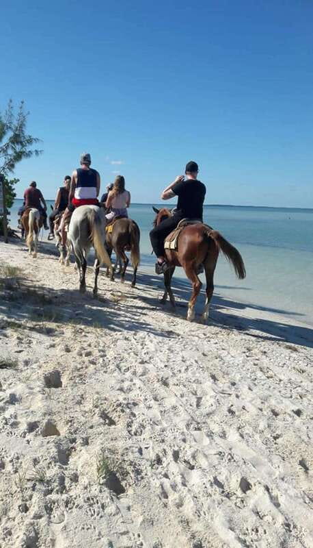 Group horseback ride on Holbox Island, Quintana Roo - Meeting the horses and guide