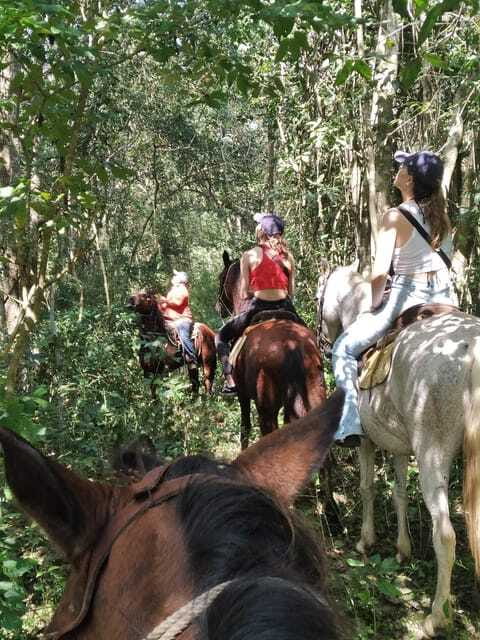 Group horseback ride on Holbox Island, Quintana Roo - Group size, pace, and comfort