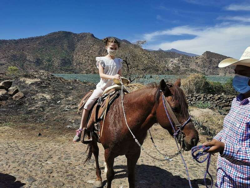 Guadalajara: Horse Riding on the Tequila Route with Tastings - Why this Tequila Route day works
