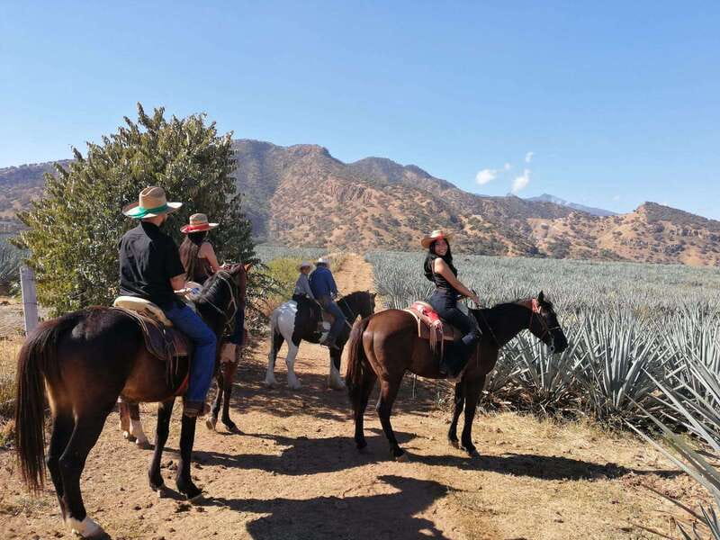 Guadalajara: Horse Riding on the Tequila Route with Tastings - Tequila tasting above Tequila Canyon