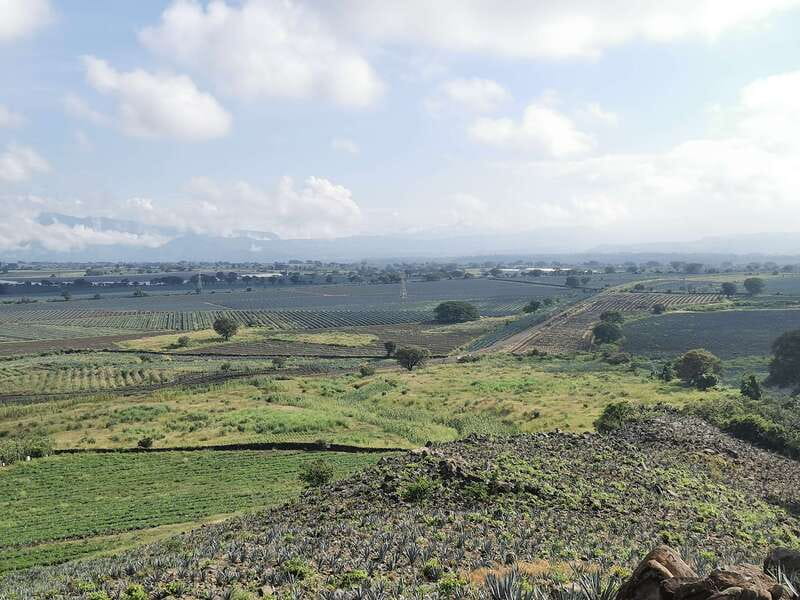 Guadalajara: Horse Riding on the Tequila Route with Tastings - Horseback riding through Amatitán