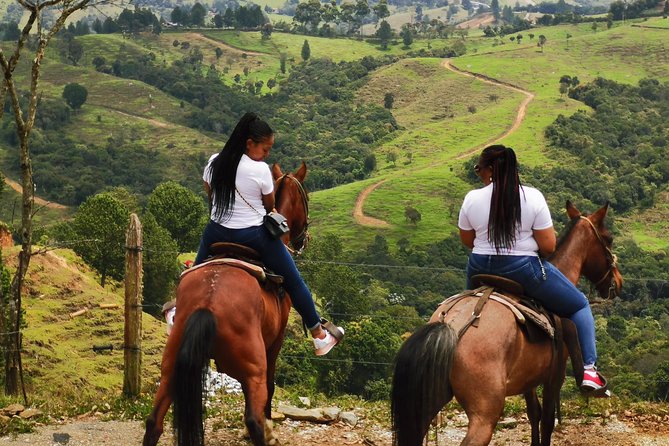 Guatape & Horse Ride & El Peñol Rock & Quaint Town From Medellin - Climbing all 749 steps of El Peñol Rock