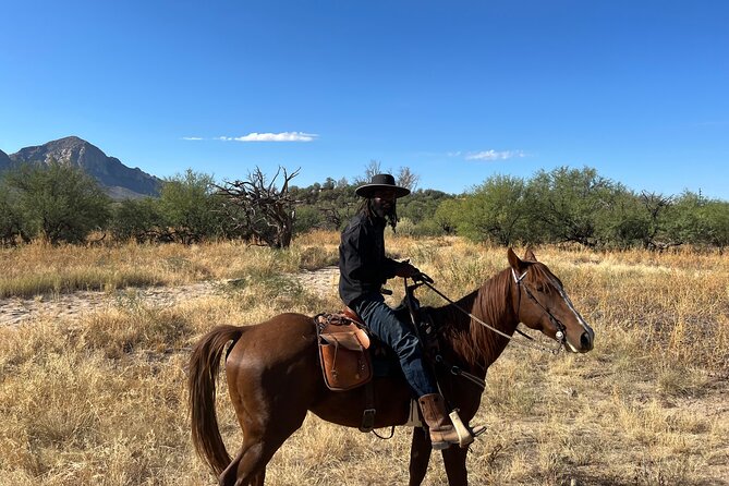 Guided 90 Min Horseback Ride Catalina State Park Coronado Forest - Is $110 a fair price?