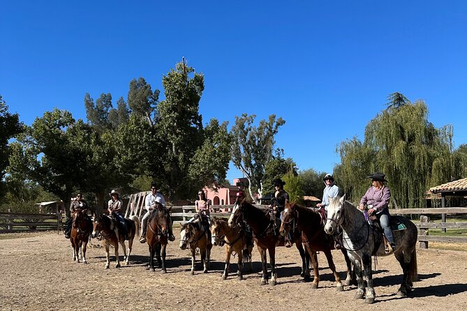 Guided 90 Min Horseback Ride Catalina State Park Coronado Forest - Coronado National Forest: a higher viewpoint