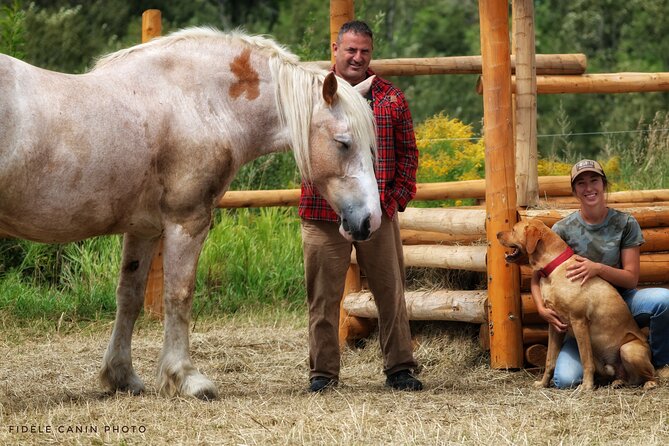 Guided Horse Riding in the Bay of Saint Paul Valley - A quiet horseback ride in Baie-Saint-Paul