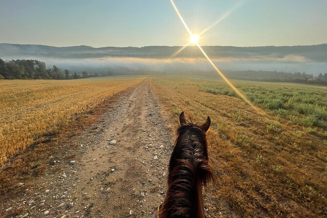 Guided Horse Riding in the Bay of Saint Paul Valley - What the price of $82.42 includes