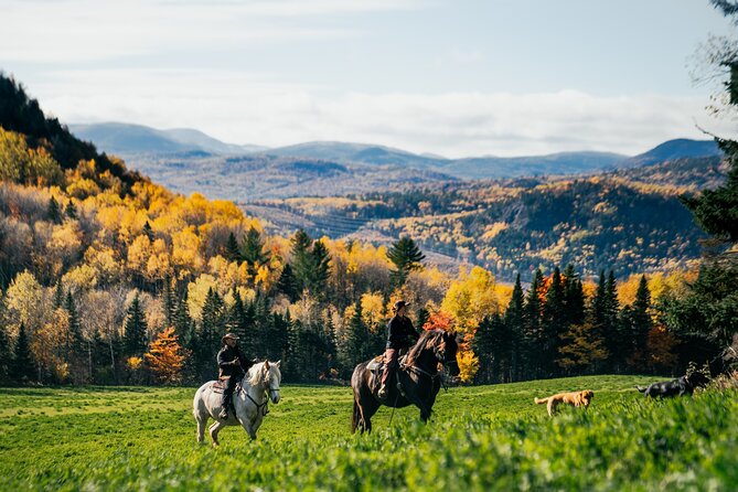 Guided Horse Riding in the Bay of Saint Paul Valley - Who should book this ride