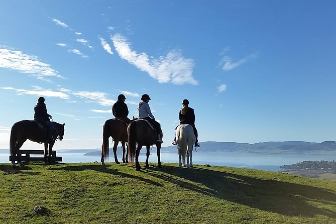 Guided Horse Trekking from Rotorua - Riding up Mt. Ngongotaha from the lower farm