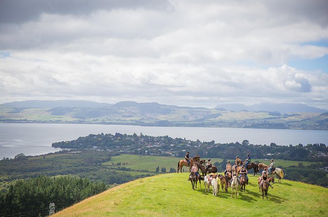 Guided Horse Trekking from Rotorua - The Lake Rotorua lookout is the payoff