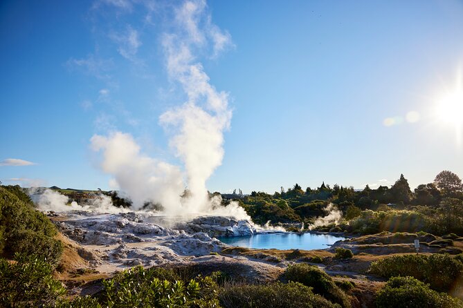 Guided Horse Trekking from Rotorua - Practical details that can make the ride easier