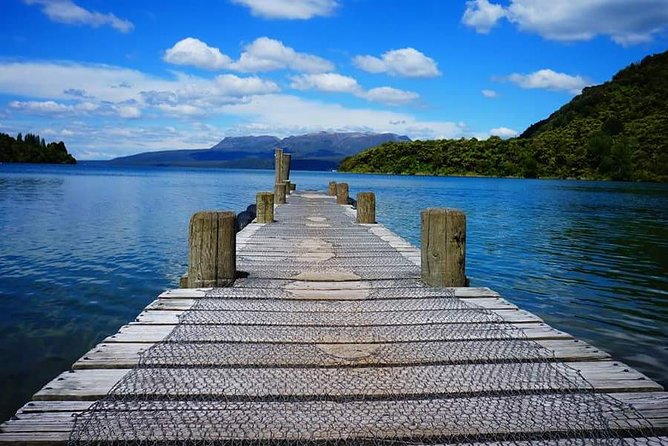 Guided Horse Trekking from Rotorua - Should you book it?