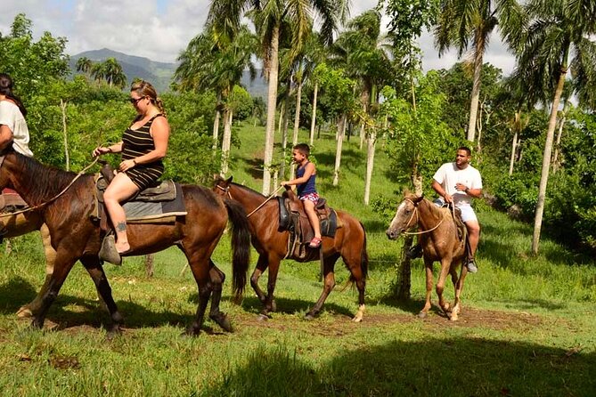 Guided Horseback Ride On The Beach With Pickup From Punta Cana - Key points at a glance