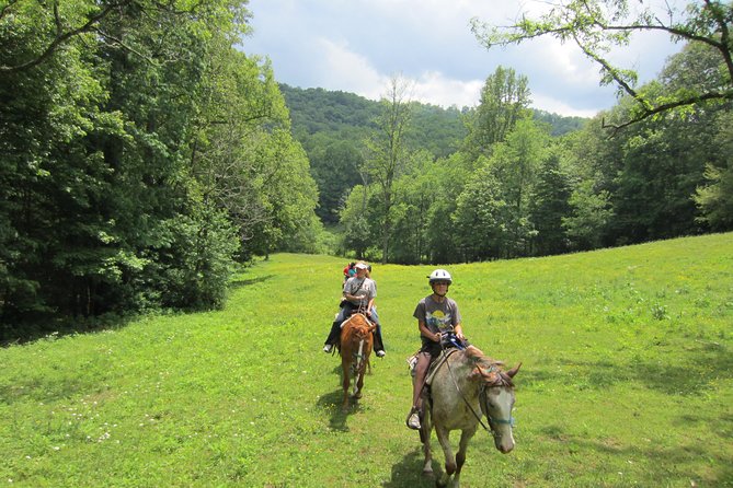 Guided Horseback Ride through Flame Azalea and Fern Forest - Arriving at Arrowmont Stables in Cullowhee