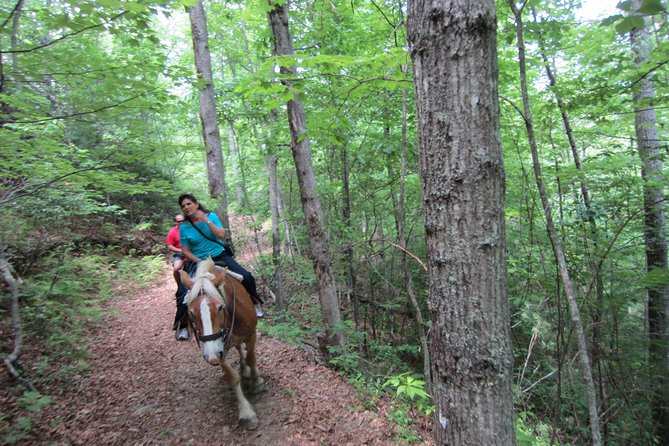 Guided Horseback Ride through Flame Azalea and Fern Forest - Meeting your horse before the trail