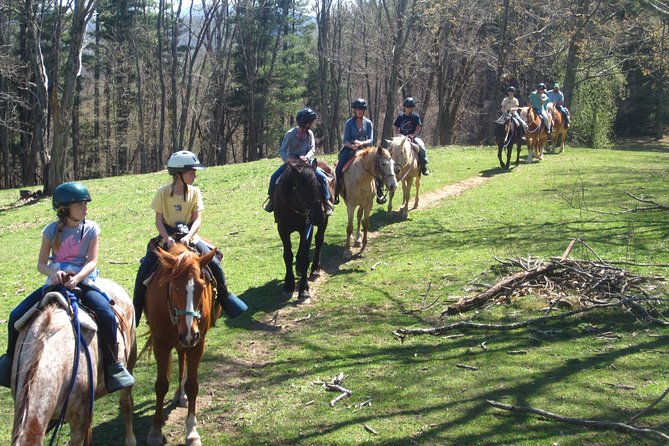 Guided Horseback Ride through Flame Azalea and Fern Forest - How the pace and group size affect the ride
