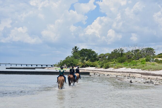 Guided Horseback Riding on The Pristine Waters of Miami Florida - From Virginia Key trails to the beach