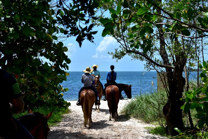 Guided Horseback Riding on The Pristine Waters of Miami Florida - What the first few minutes are like