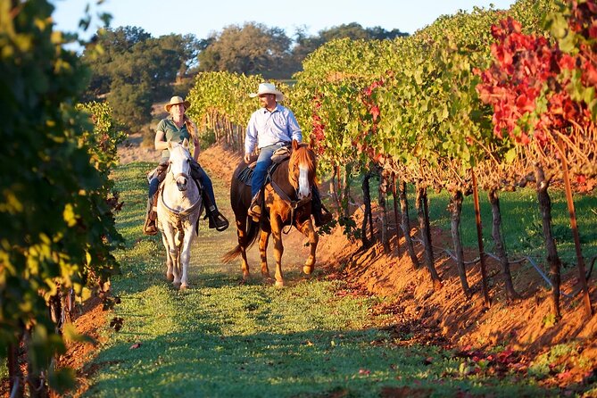Guided Horseback Tour only 30 mins from Sedona. - Getting acquainted with your horse