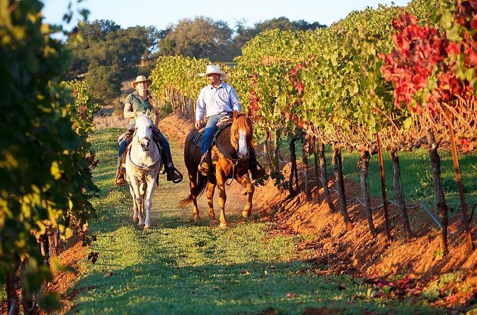 Guided Horseback Tour only 30 mins from Sedona. - Weather, comfort, and practical planning