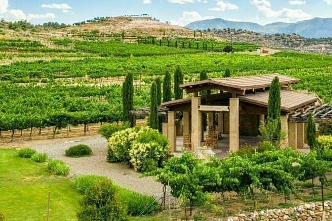 Guided Horseback Tour only 30 mins from Sedona. - Riding through the vineyard and countryside